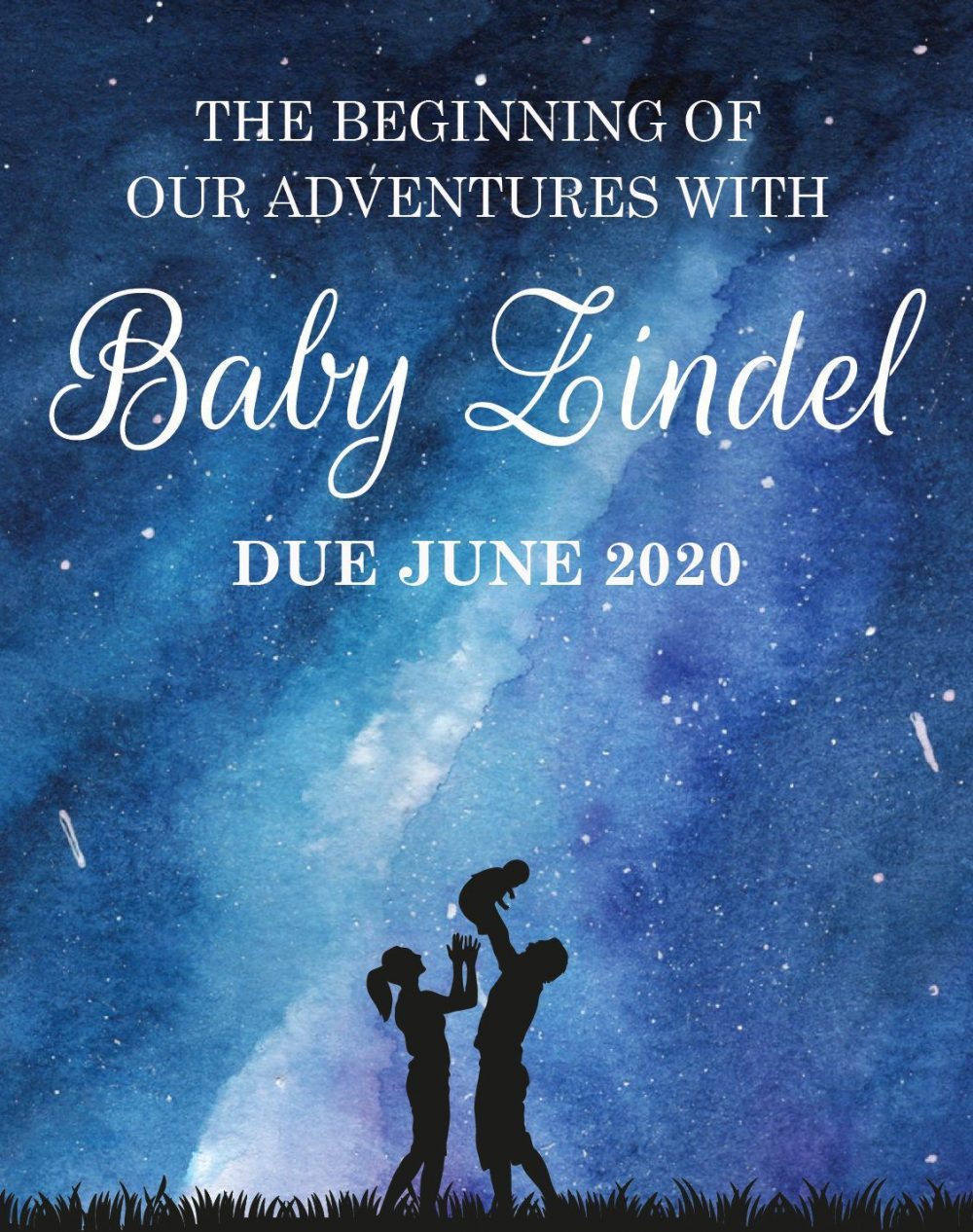 Baby Announcement Wine Label Stickers, "The beginning of our Adventures", Baby Celebration Custom Bottle Label, Dazzling Cosmos bwinelabel136