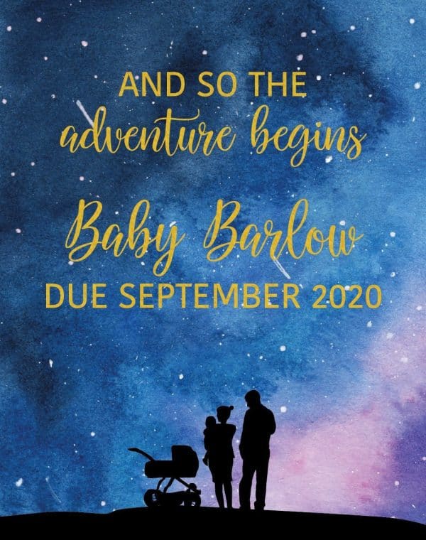 Pregnancy Announcement Wine Label Stickers, AND SO THE adventure begins, Baby Celebration Custom Bottle Label, Starlight bwinelabel137