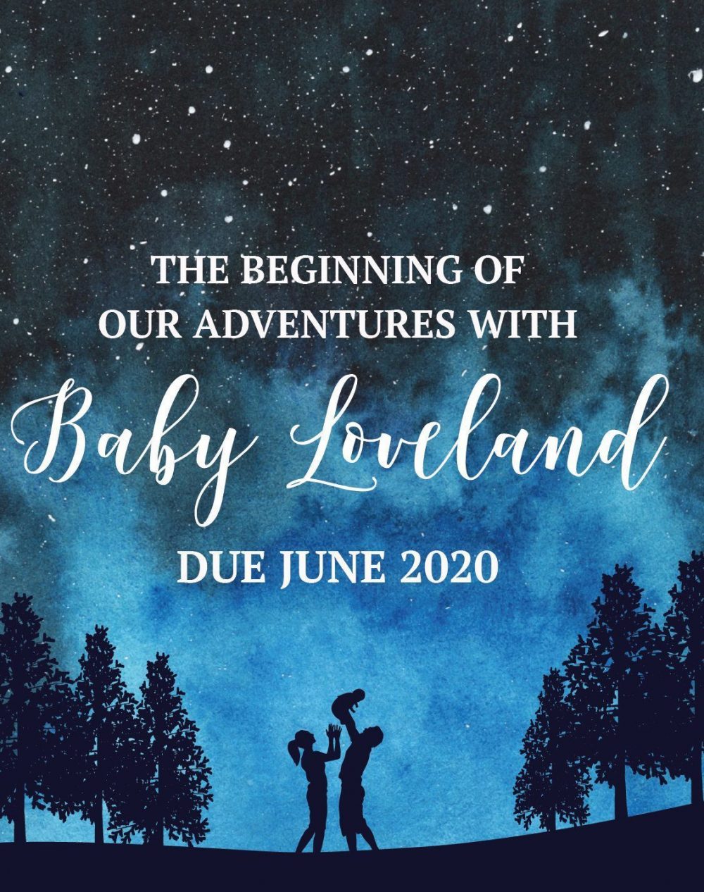 Baby Announcement Wine Label Stickers, "The Beginning of Our Adventures", Baby Celebration Custom Bottle Label, Night Fantasy Sky bwinelabel138