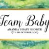 Team Baby Personalized Mini Champagne Bottle Label Stickers for Baby Shower Party