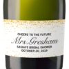 Cheers to the future Mini Champagne Bottle Labels for Bridal Shower, Bridal Shower Mini Champagne Bottle Labels, Custom Label MN#119