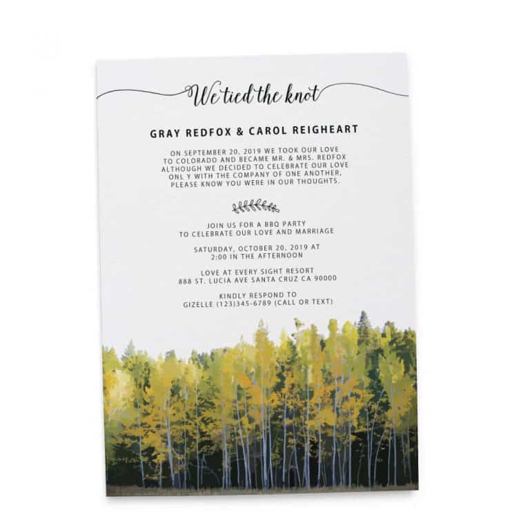 We Tied The Knot Fall, Autumn, BBQ Party Invitation, Wedding Reception Cards elopement152