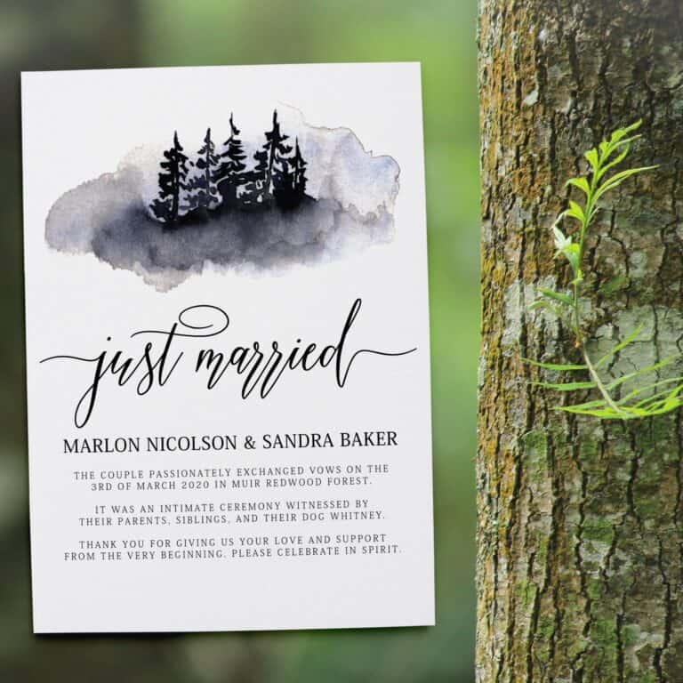 We Are Married Announcement, "Just Married!" , After Wedding Announcement Flat Cards, Marriage Announcement, Custom, Cloudy Design #356 elopement356